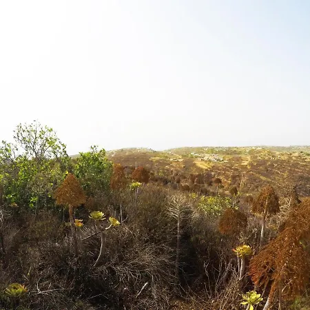 Noya Con Piscina Privada 度假居