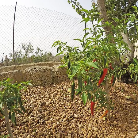 度假居 Noya Con Piscina Privada