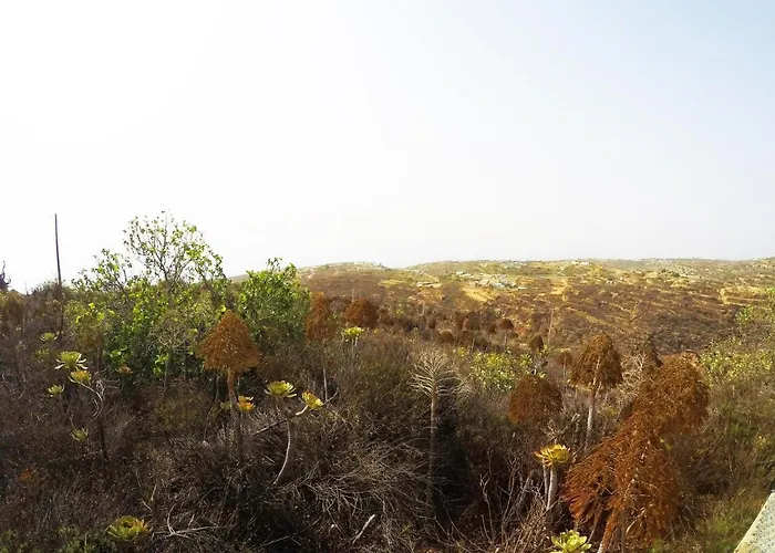 Noya Con Piscina Privada 度假居