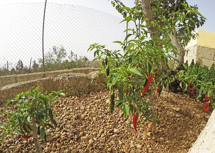 度假居 Noya Con Piscina Privada